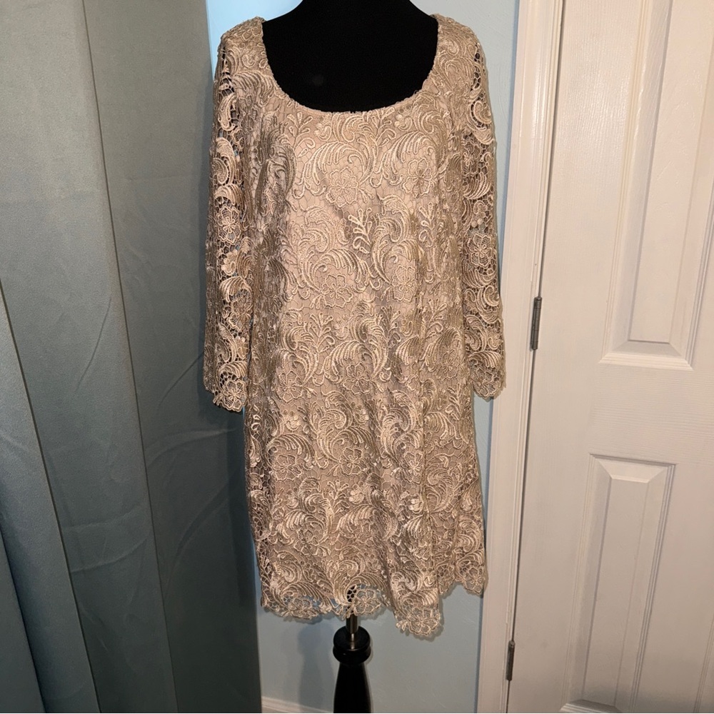 White House Black Market Cream Lace Long Sleeve Dress